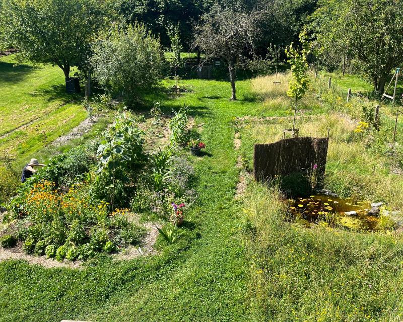 20250415_051645_nat-rn-terrain-365_photo_WhatsApp Image 2025-04-15 à 07.14.52_925482eb.jpg
